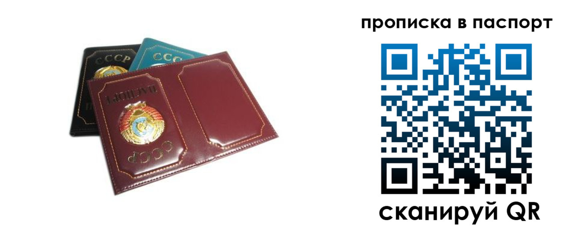 регистрация в Коле
