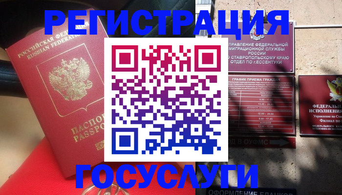 где прописаться в Коле